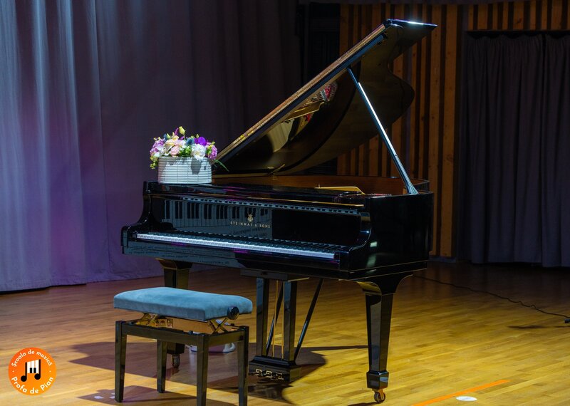 Scoala de Muzica, profa de pian, cursuri pian, canto, chitara, tobe